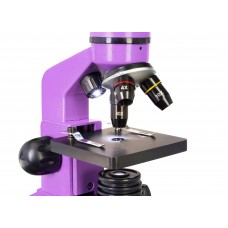Микроскоп Levenhuk Rainbow 2L Amethyst/Аметист модель 69036 от Levenhuk