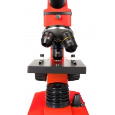 Микроскоп Levenhuk Rainbow 2L PLUS Orange/Апельсин модель 69045 от Levenhuk