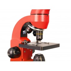 Микроскоп Levenhuk Rainbow 50L PLUS Orange/Апельсин модель 69055 от Levenhuk