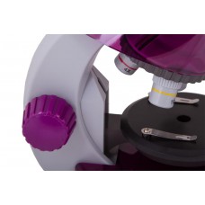 Микроскоп Levenhuk LabZZ M101 Amethyst/Аметист модель 69033 от Levenhuk