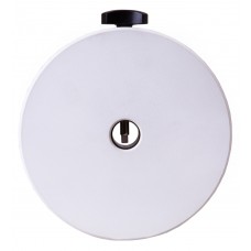 Противовес Sky-Watcher для монтировки EQ6/HEQ5, 5,1 кг модель 71077 от Sky-Watcher