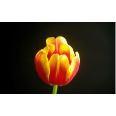 Фототелескоп Levenhuk Kelvin MAK90 AZ GOTO Wi-Fi