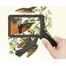 Лупа цифровая Levenhuk ERGO 40 PRO модель 86556 от Levenhuk