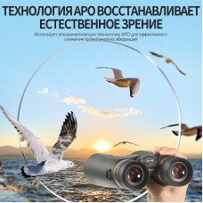 Бинокль Eyeskey ProPilot APO EB - 10x42 модель EyeS-B118APO от Eyeskey