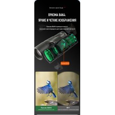 Бинокль Eyeskey Surge - 10x42 Бинокль Eyeskey Surge - 10x42 модель EyeS-B145 от Eyeskey