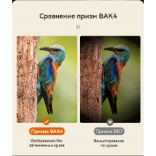 Бинокль Eyeskey Vigil - 10x42 модель EyeS-B151 от Eyeskey