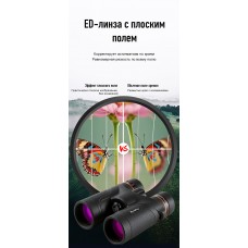 Бинокль Eyeskey Stellar - 10x42 модель EyeS-B155 от Eyeskey