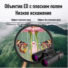 Бинокль Eyeskey Stellar - 10x42 модель EyeS-B155 от Eyeskey