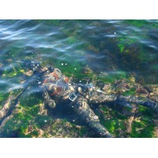 Гидрокостюм Salvimar Garda KRYPSIS 5,5 мм XL