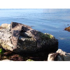 Гидрокостюм Salvimar Garda KRYPSIS 5,5 мм XL