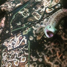 Гидрокостюм Salvimar Garda KRYPSIS 7 мм XL