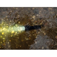 Фонарь Armytek Viking, 2330 lm, тёплый, до 295м, 11°:76°, 1x18650 / 2хCR123A (не в комплекте), IP68, 147г Фонарь Armytek Viking, 2330 lm, тёплый, до 295м, 11°:76°, 1x18650 / 2хCR123A (не в комплекте), IP68, 147г модель F01802W от Armytek