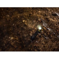 Фонарь Armytek Elf C2 Max LR USB-C, 4300 lm, тёплый, дальнобойный, до 232м, 1x21700/18650, IP68, 80г Фонарь Armytek Elf C2 Max LR USB-C, 4300 lm, тёплый, дальнобойный, до 232м, 1x21700/18650, IP68, 80г модель F10702W от Armytek