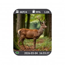 Видеокамера оптического прицела Veber TrigCam 01HD с автофокусом