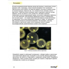 Набор для опытов с микроскопом Levenhuk K50 модель 13461 от Levenhuk