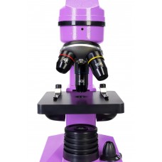 Микроскоп Levenhuk Rainbow 2L Amethyst/Аметист модель 69036 от Levenhuk