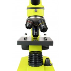 Микроскоп Levenhuk Rainbow 2L PLUS Lime/Лайм модель 69044 от Levenhuk