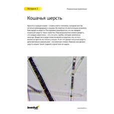 Набор микропрепаратов Levenhuk N80 NG Увидеть все! модель 29280 от Levenhuk