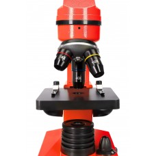 Микроскоп Levenhuk Rainbow 2L Orange/Апельсин модель 69039 от Levenhuk