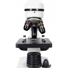 Микроскоп Levenhuk Rainbow D2L, 0,3 Мпикс, Moonstone/Лунный камень модель 69040 от Levenhuk