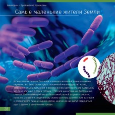 Книга знаний в 2 томах Космос.Микромир модель 70729 от Levenhuk