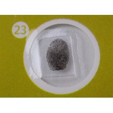 Набор микропрепаратов Levenhuk LabZZ P12, растения модель 72869 от Levenhuk