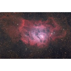 Труба оптическая Bresser Messier NT-203s/800 модель 72885 от Bresser
