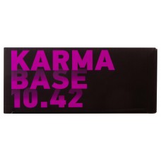 Бинокль Levenhuk Karma BASE 10x42 модель 74166 от Levenhuk