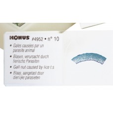 Набор микропрепаратов Konus 10: Животные и растения. Мутации модель 76611 от Konus