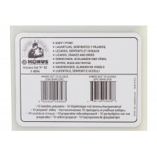 Набор микропрепаратов Konus 10: Ящерицы, змеи и птицы модель 76616 от Konus